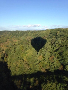 treetops-shadow