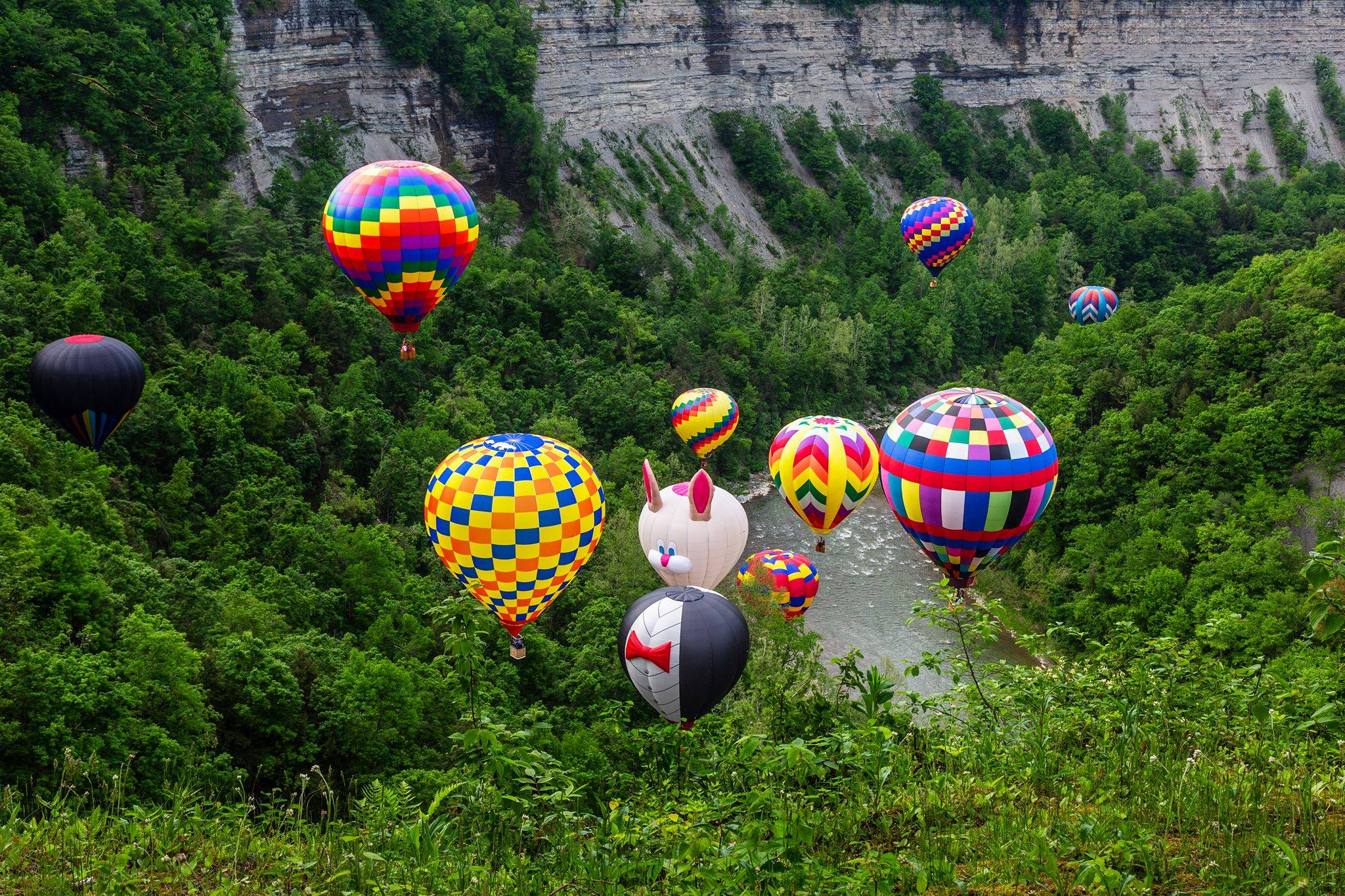 Balloons flying in the Letchworth Gorge